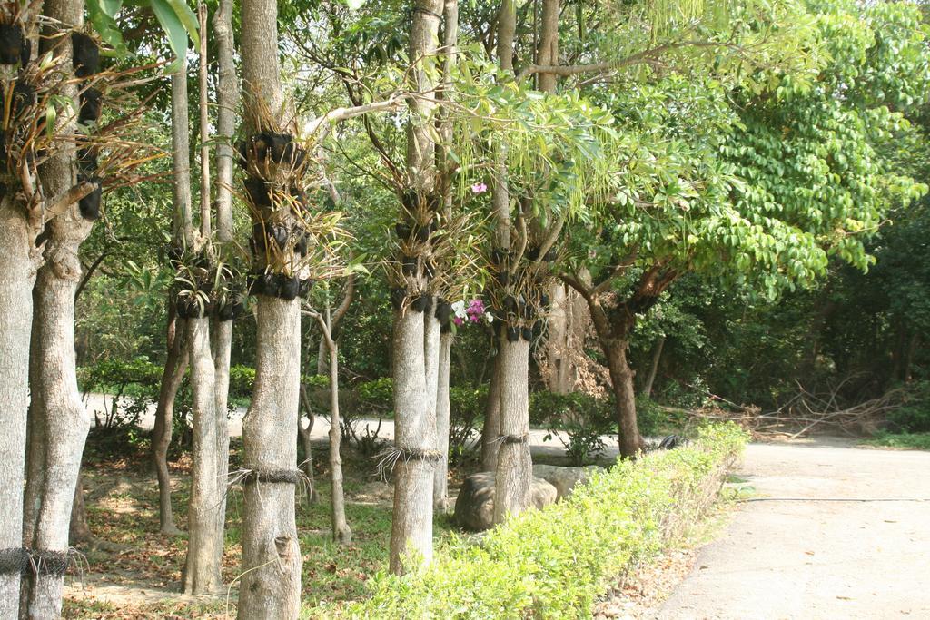Butterfly B&B Manzhou Экстерьер фото
